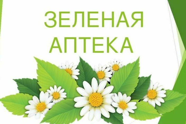 Зеленая аптека фон для презентации