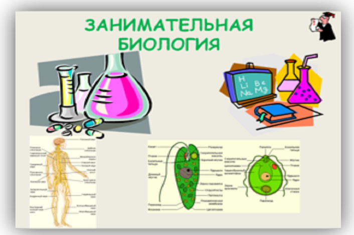 Рисунок на тему биология 6 класс